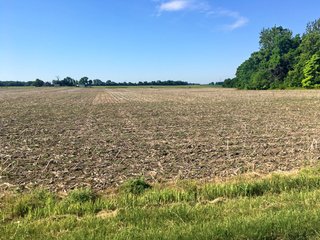 Whitley County, Indiana farmland - LAND AUCTION - 156+/- ACRES OFFERED IN 5 TRACTS IN WHITLEY COUNTY, INDIANA